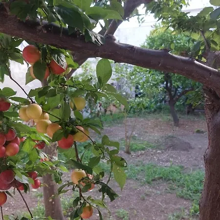 Jonia Vacanze Vicino Al Mare Con Giardino