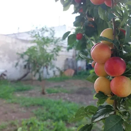 Jonia Vacanze Vicino Al Mare Con Giardino *