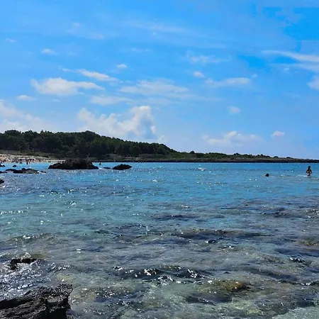 Jonia Vacanze Vicino Al Mare Con Giardino Apartment